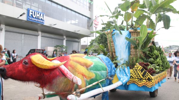 Tubod, Lanao del Norte, showcases its 52 varieties of banana. (Photo: ADD/PIA-10/Lanao del Norte)