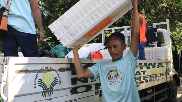 The Tangaro Young Farmers' Association, a farmers' association supported under the SAAD Program Phase 2 in Camiguin, received various agricultural tools and supplies, including 15 shovels, five garden hoses, 30 egg trays, 30 plastic live poultry coops, five chicken nets, 50 waterers of different sizes, and 50 feeders of varying sizes. (Photo courtesy of SAAD-10)