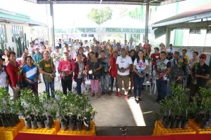 Some 190 farmers from the municipalities of Kapatagan and Lala, Lanao del Norte, received grafted calamansi seedlings from the provincial government through its Provincial Agriculture Office. (Photo courtesy of PIO Lanao del Norte)